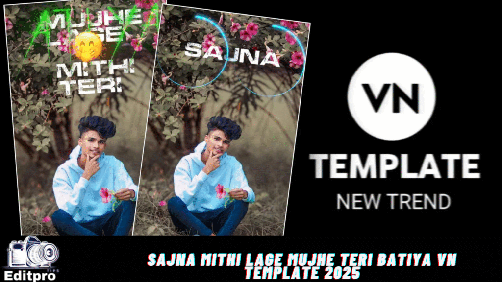 Sajna Mithi Lage Mujhe Teri Batiya Vn Template 2025 Sajna Mithi Lage Mujhe Teri Batiya Vn Template 2025